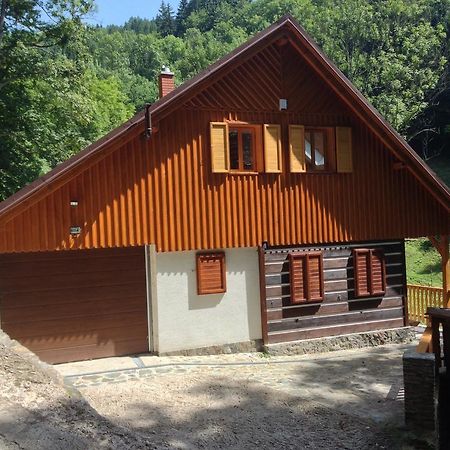 Chata Hokejka Rokytnice nad Jizerou Exterior photo