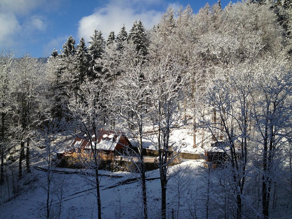 Chata Hokejka Rokytnice nad Jizerou Exterior photo